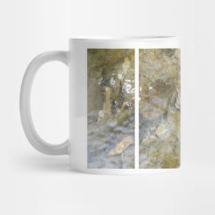 A static shot of a toad under the clear water of a mountain stream between rocks and stones; beautiful nature in a sunny day; no people around Mug